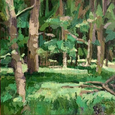 Waldspaziergang Grüner Wald mit Bäumen und dichtem Unterholz, sonnige Lichtflecken auf dem Boden.